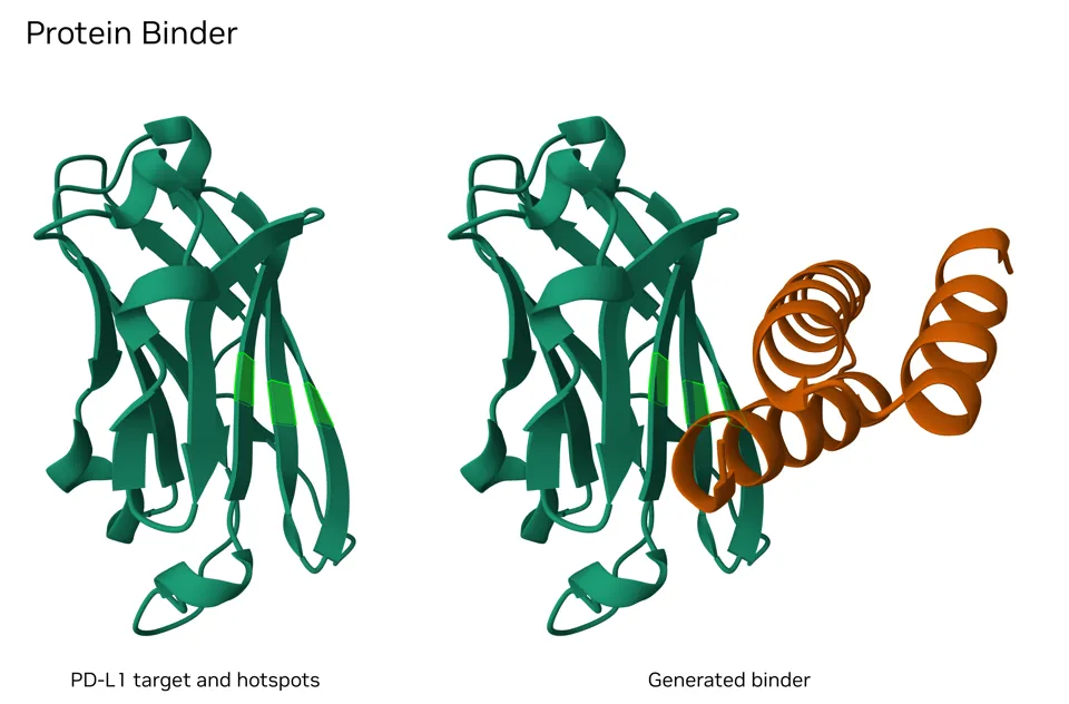 Two molecular ribbon views of the same PD-L1 target in teal, with three hotspot residues highlighted in light green. Left: the target alone. Right: the same target with a generated binder in orange at the hotspot residues.