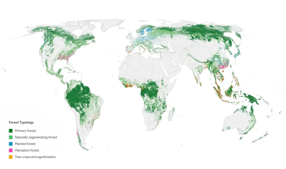 The map shows the most common forest or land use class in each square kilometer, while the underlying data has a resolution of 10 meters.