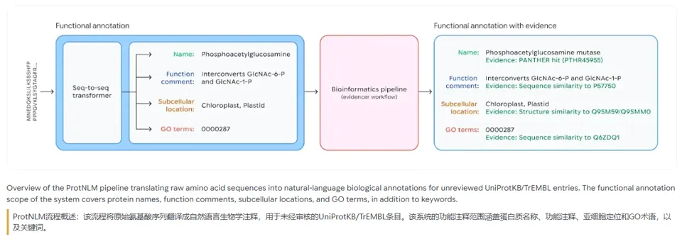 对抗超级细菌新武器：谷歌 Antigravity 用 AI 加速抗菌肽发现